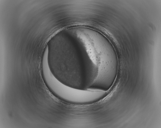 X0000112910985200909141247