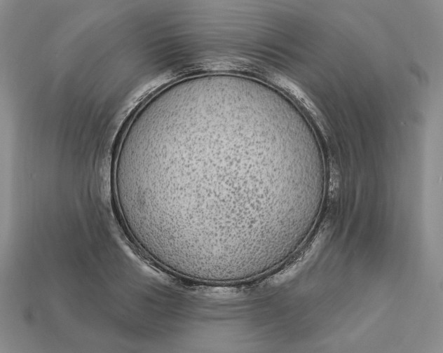 X0000112910986200909141247