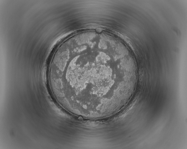 X0000112910987200909141247