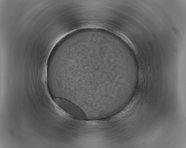 X0000112910988200909141247