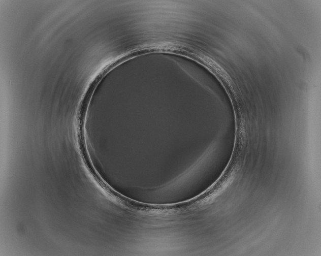 X0000112910989200909141247