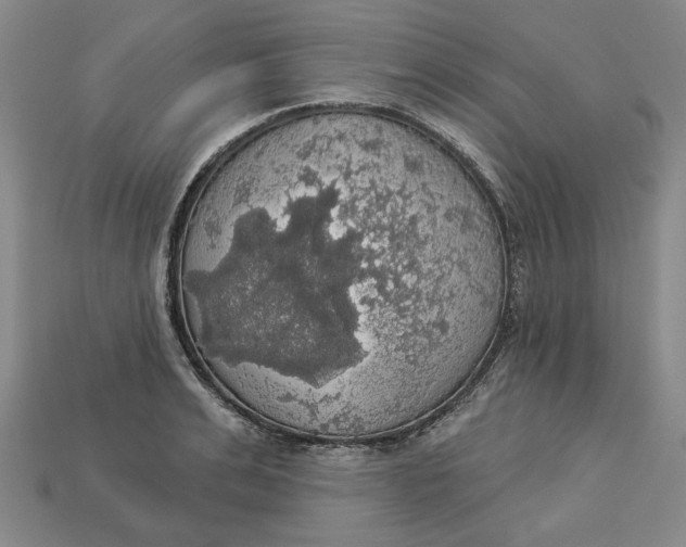 X0000112910991200909141247