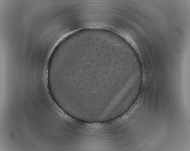 X0000112910992200909141247