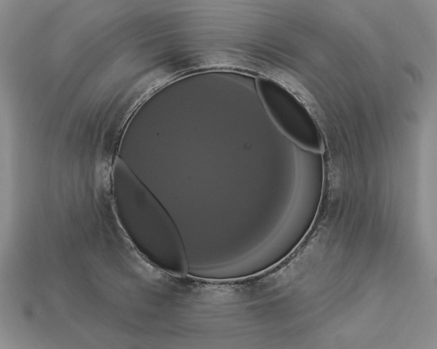 X0000112910993200909141247