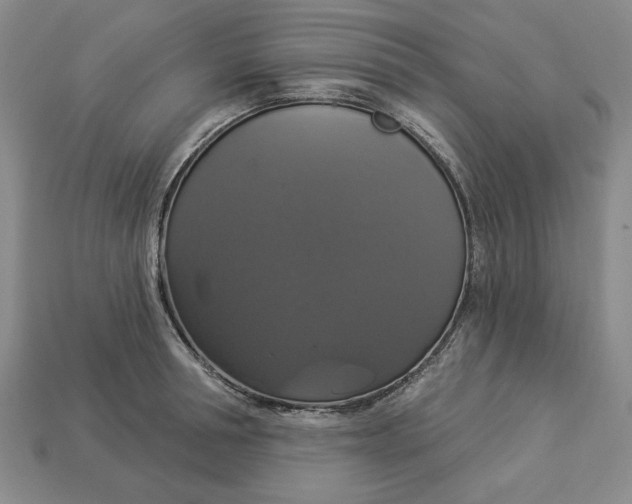 X0000112910994200909141247