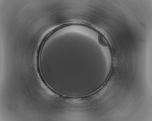 X0000112910995200909141247