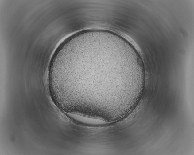 X0000112910996200909141247