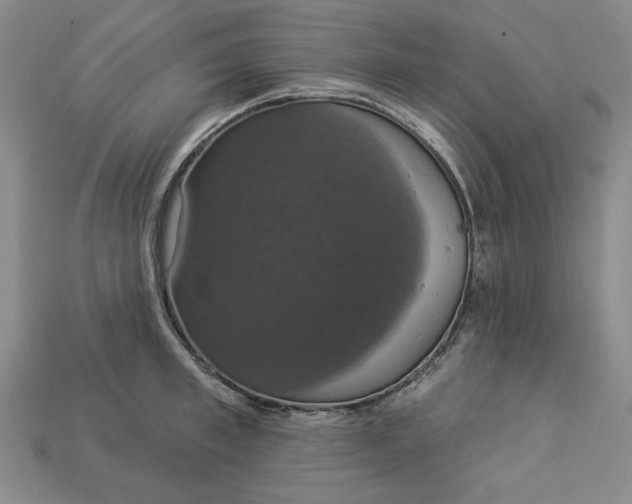 X0000112910997200909141247