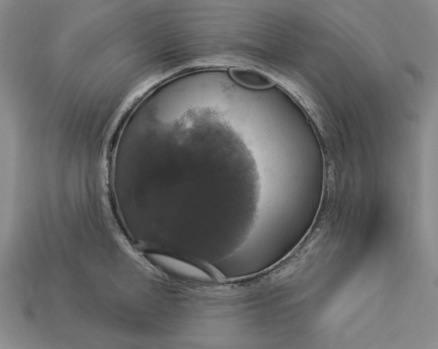 X0000112910998200909141247