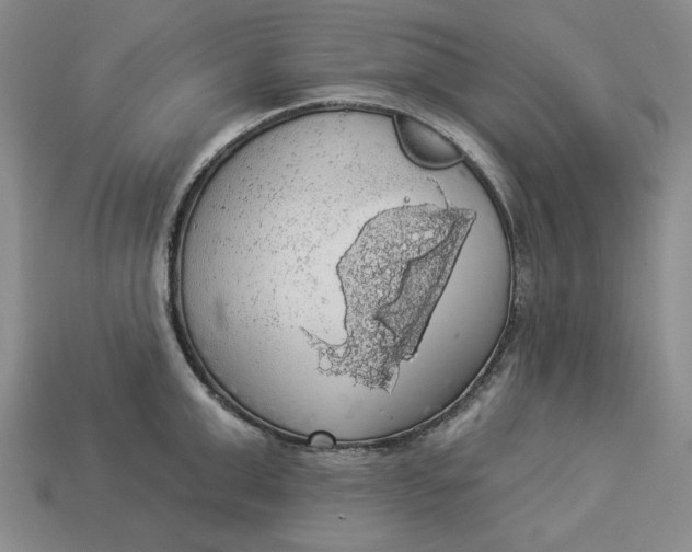 X0000112910999200909141247