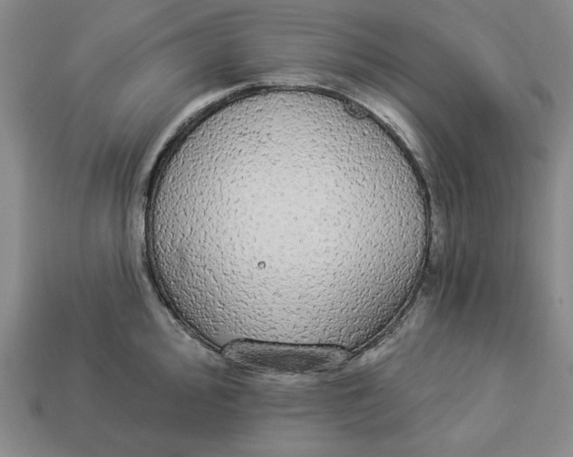 X0000112911000200909141247