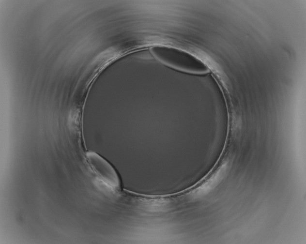 X0000112911001200909141247