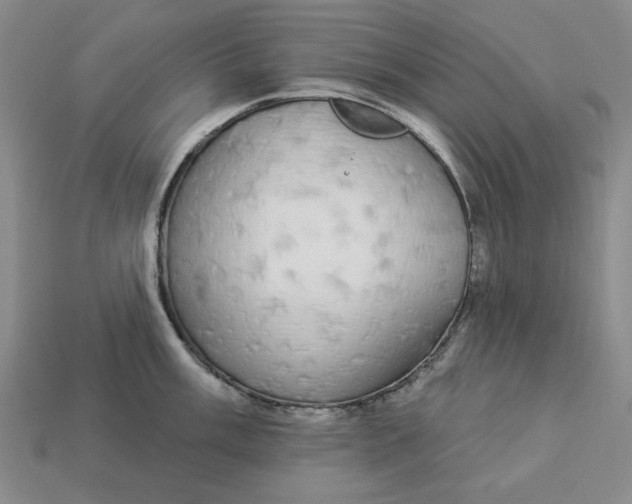 X0000112911003200909141247