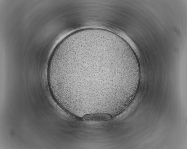 X0000112911004200909141247