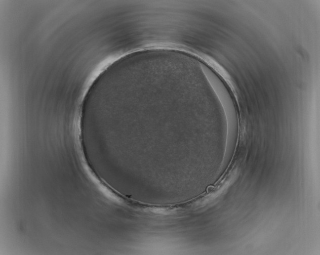 X0000112911005200909141247