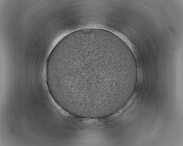 X0000112911006200909141247