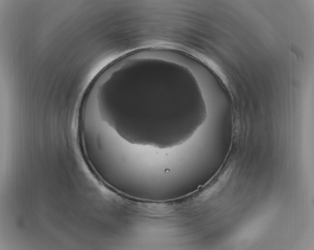 X0000112911007200909141247