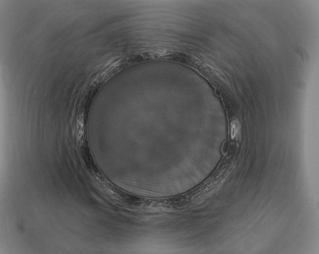 X0000112911011200909141246