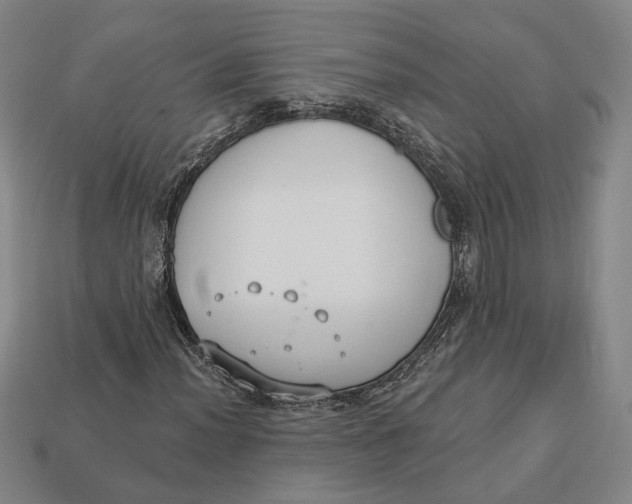 X0000112911012200909141246