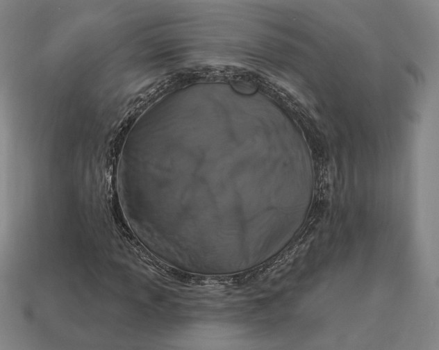 X0000112911013200909141246