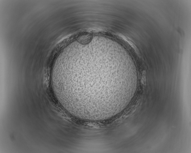 X0000112911015200909141246