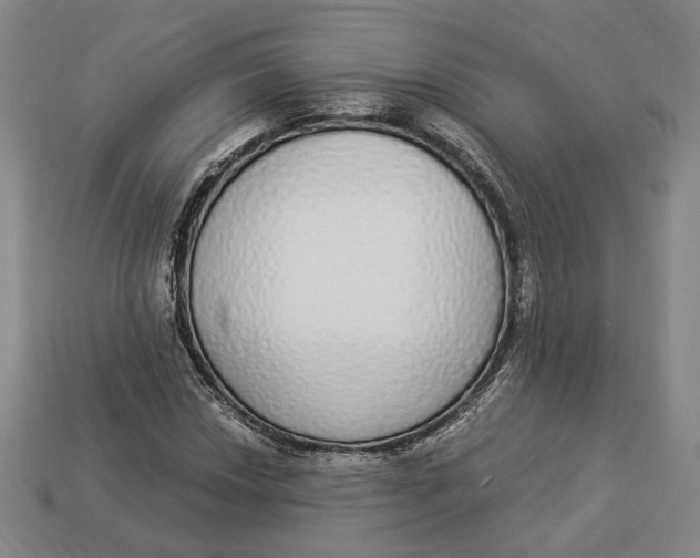 X0000112911018200909141246