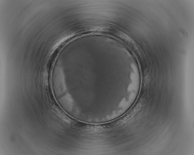 X0000112911019200909141246