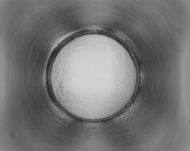 X0000112911020200909141246