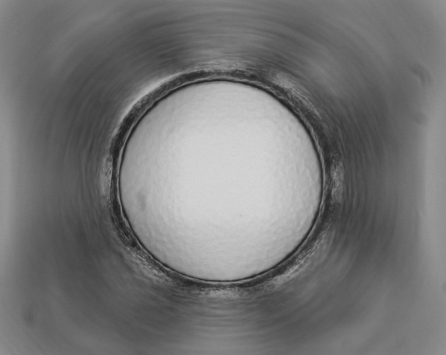 X0000112911021200909141247