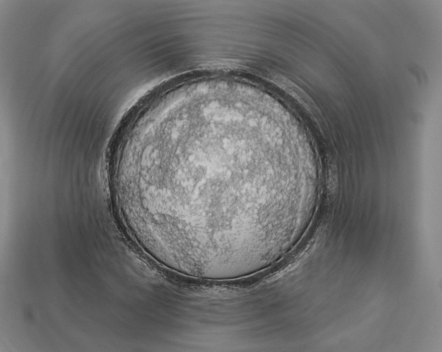 X0000112911022200909141247