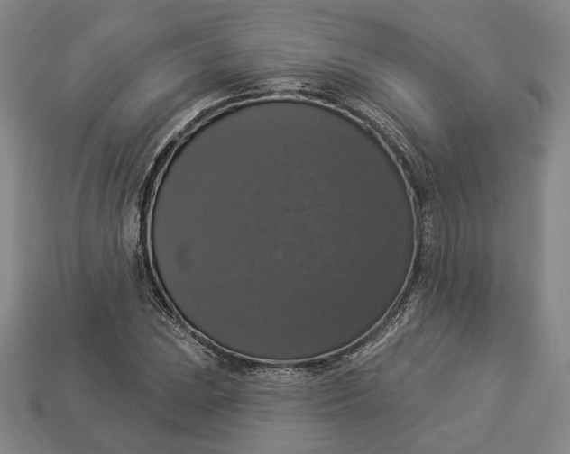 X0000112911023200909141247