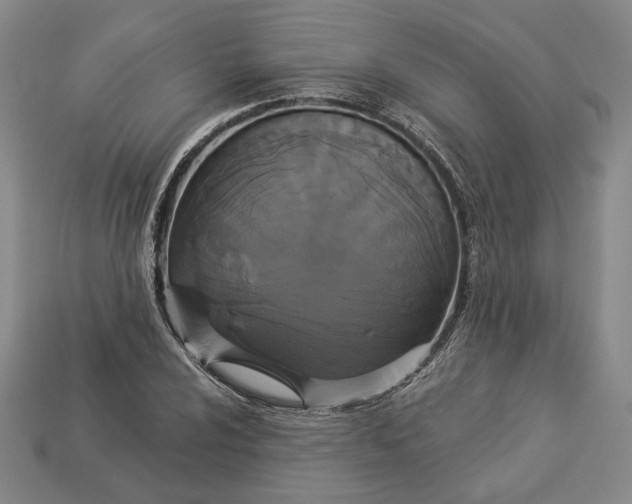 X0000112911024200909141247