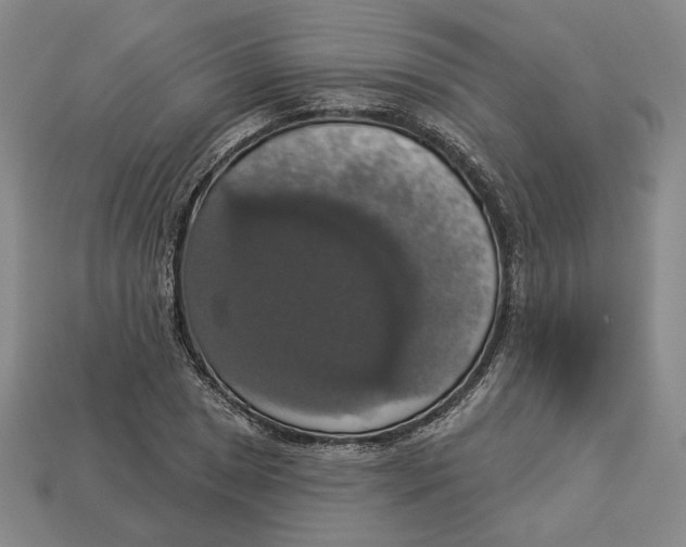 X0000112911025200909141247