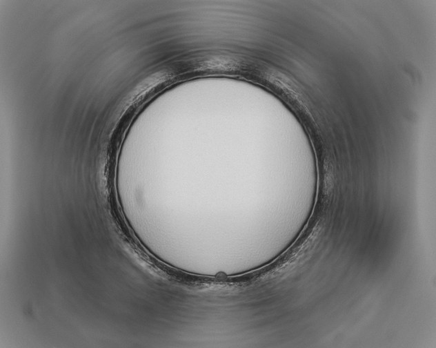 X0000112911026200909141247