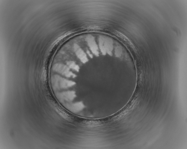 X0000112911027200909141247