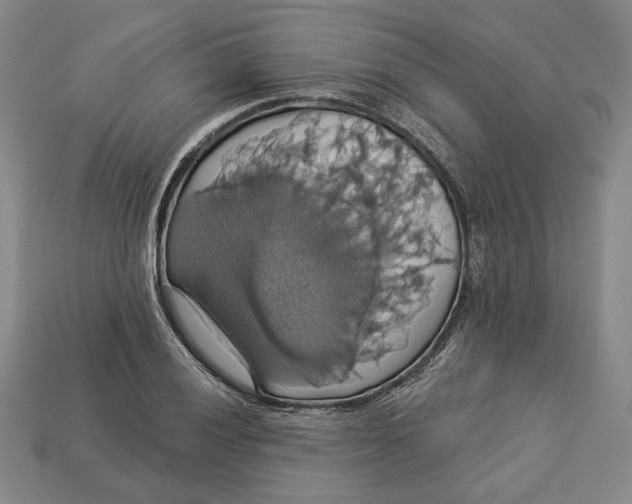 X0000112911028200909141247