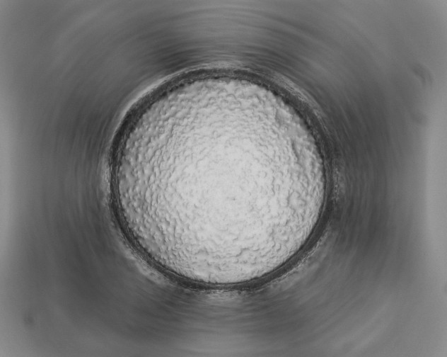 X0000112911029200909141247