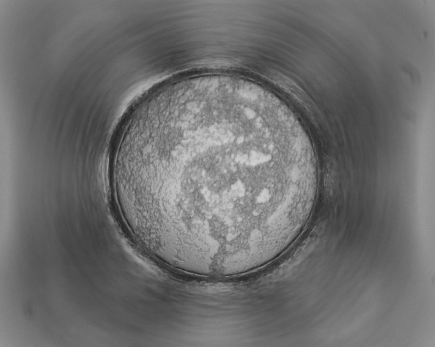 X0000112911030200909141247