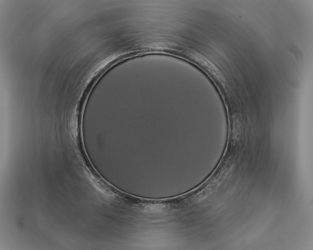 X0000112911031200909141247