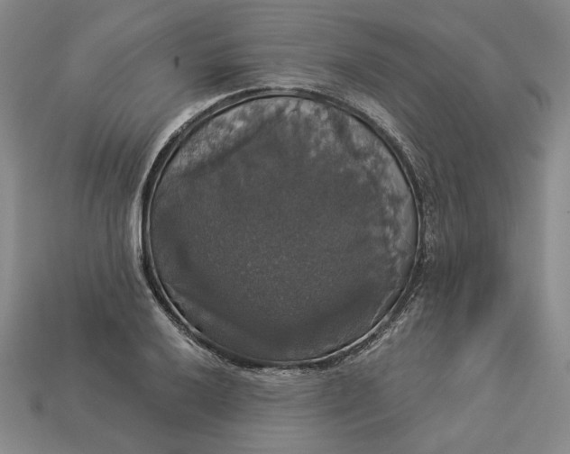 X0000112911032200909141247