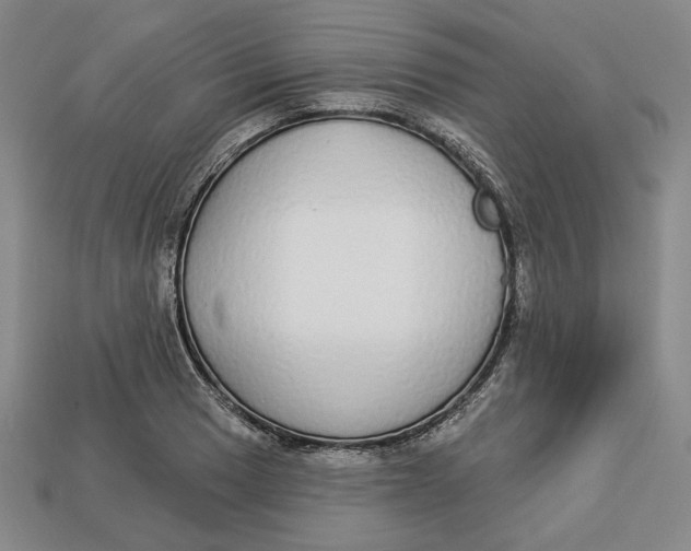 X0000112911033200909141247