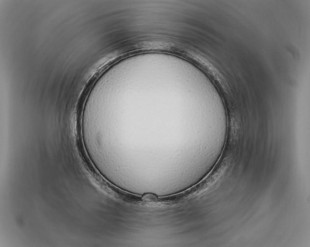 X0000112911034200909141247