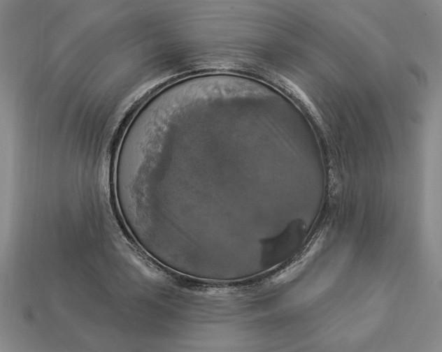 X0000112911035200909141247