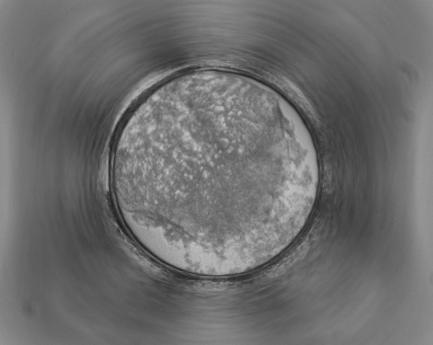 X0000112911036200909141247