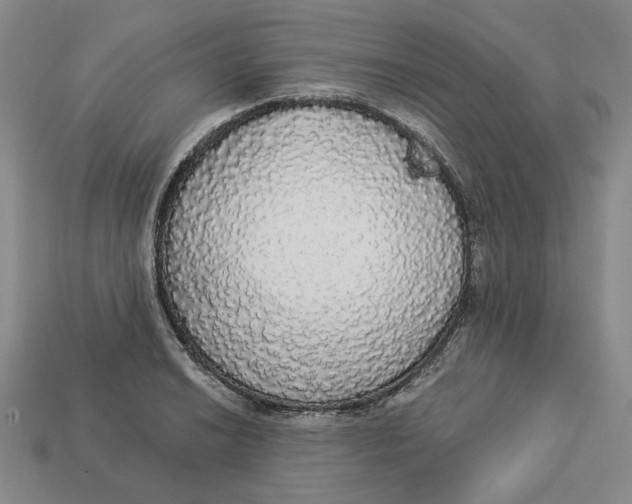 X0000112911038200909141247