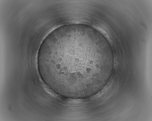 X0000112911039200909141247