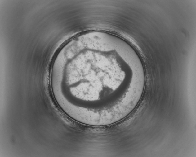 X0000112911040200909141247