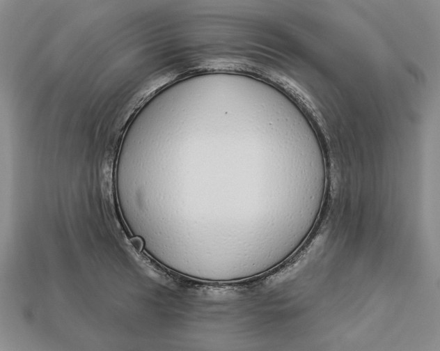 X0000112911041200909141247