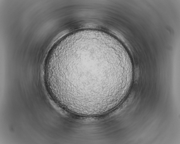 X0000112911042200909141247