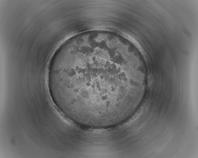 X0000112911043200909141247